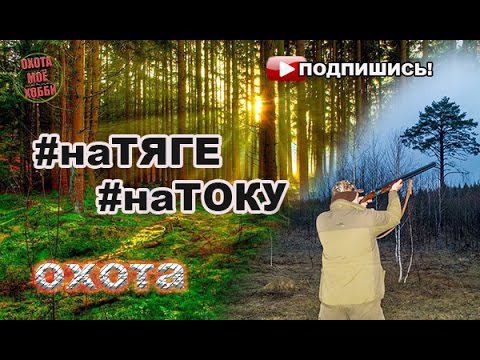 Охота на тетерева и вальдшнепа смотреть онлайн