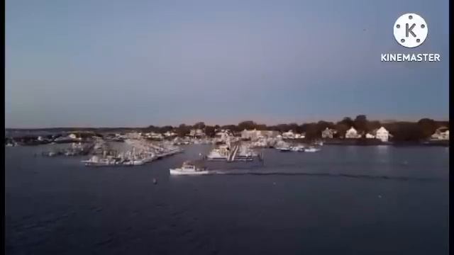 мы родились в сибири//орущие в клоповнике//обзор канала смотреть онлайн