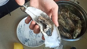 Обзор УСТРИЦ (Деликатеска)! Как открыть устрицу дома ? Впервые пробую устрицы - мои впечатления!