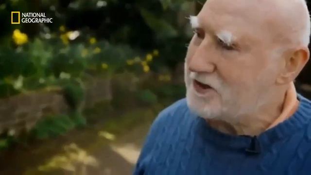 The Amazing World of Cats - Welcome to the World of Cats (Nat Geo) смотреть онлайн