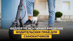 Федяев не исключил введение водительских прав для самокатчиков