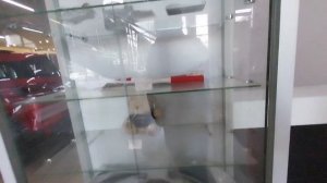 ? СИТРОЕН И ПЕЖО ▶ ЧТО МОЖНО КУПИТЬ ПРЯМО СЕЙЧАС??? ?