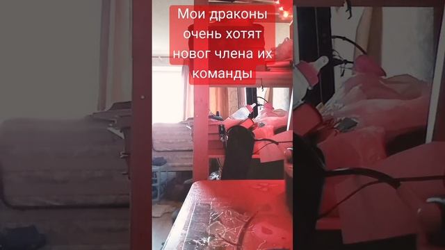 по просьбе мойх драконов буду делать нового дракона