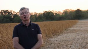 Уборка сои 2020 Сорт Виктория 31ц га