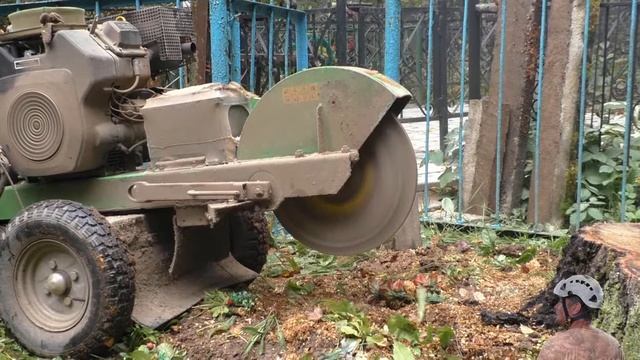 Помогли удалить пень на участке кладбища в Кольчугино