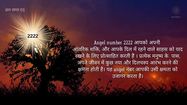 2222 एंजेल नंबर का अर्थ | 222 Angel Number Meaning in hindi 🦚