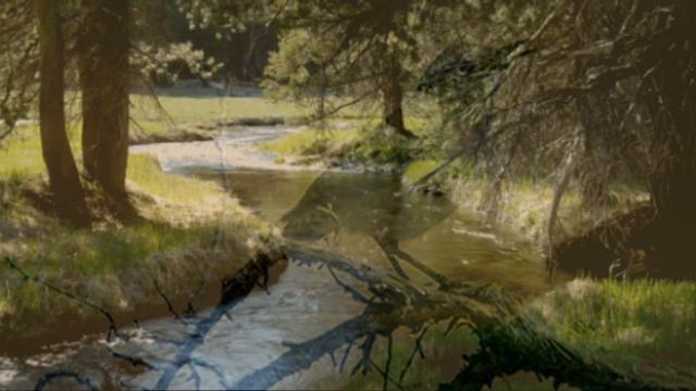 Зачем я влюбился? ( цыганский романс). смотреть онлайн