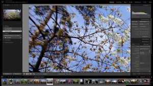 Обзор 7Artisans 12mm F2.8 (бюджетный сверх ширик для беззеркалок)