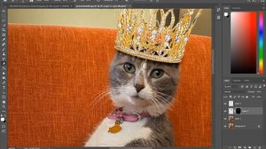 How to create a cat manipulation in photoshop / cat image manipulation / photoshop manipulation