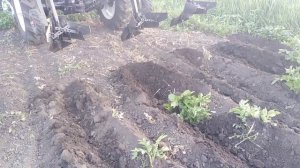 Минитракрор Русич т-21 распашка окучивание междурядий картофеля 1 серия