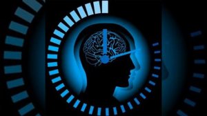 Циркадные ритмы