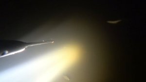 ТРОЯНОВО,СБРОС!!!! ЧЕГО ЖДУТ РЫБАКИ НА ТРОЯНОВСКОМ СБРОСЕ ДВХ???