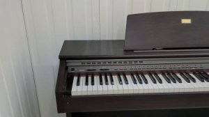 Casio Celviano AP-45 digital piano in rosewood stock number 22291
