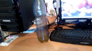 Как избавиться от мышей в доме