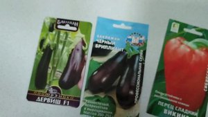 Подготовка и проращивание семян в чашке Петри //обзор семян перца сладкого и баклажана 2022