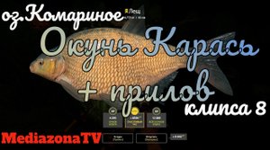 Русская Рыбалка 4 Где Клюет оз.Комариное Окунь Карась Прилов 1.01.23