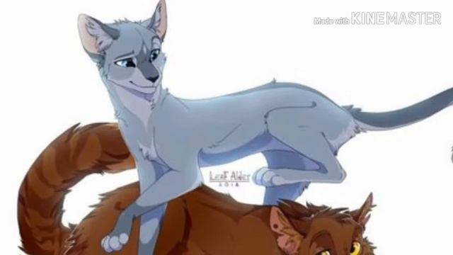 Коты Воители || °•You Just Want My Sister•° смотреть онлайн