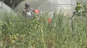 МОТОБЛОК С РОТОРНОЙ КОСИЛКОЙ | ДОРАБОТКА |  КОШУ КАРТОФЛЯННИК | ВЫБОР ЗА ВАМИ