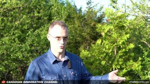 601. Достаточно ли трудовой книжки для подтверждения стажа?