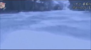 Редкие кадры из старой киноленты на которой Хатико ещё жив
