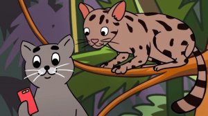 ПОЧЕМУ КОТЫ ЭТО ДЕЛАЮТ?