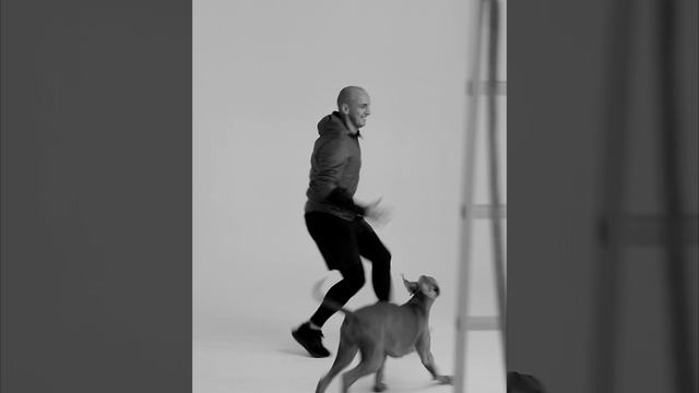 Backstage смотреть онлайн