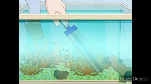 Тема недели: «Аквариумные рыбки»