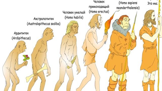 Что Вы знаете о неандертальцах?