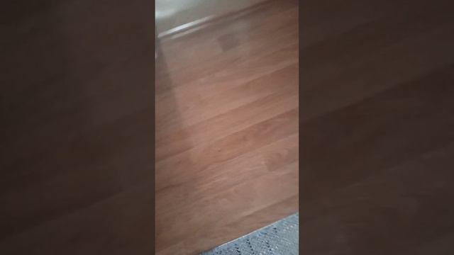 как я попал в этот странный дом? смотреть онлайн