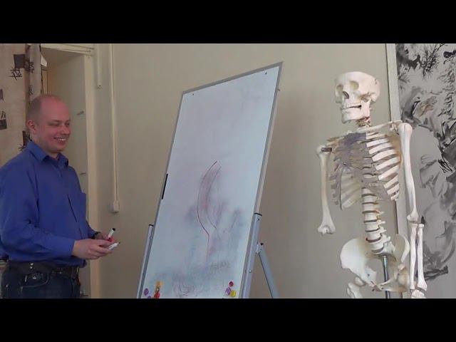 Семинар остеопатия МИОФАСЦИАЛЬНЫЕ ЦЕПИ МФЦ_35 смотреть онлайн