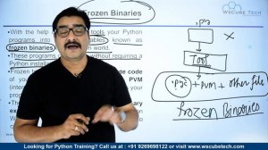 Frozen Binaries | What are Frozen Binaries - Learn How to Create a Frozen Binaries