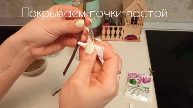 Размножаем орхидею в домашних условиях! смотреть онлайн