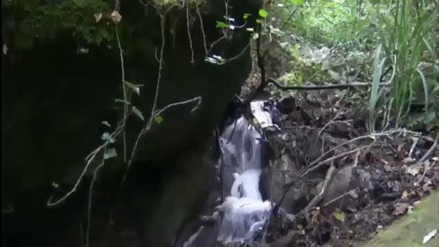 Исповедание и благодарение Христу Тихон Задонский смотреть онлайн