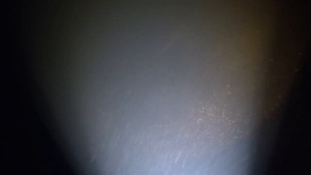 Что делать с судаком в нерест смотреть онлайн