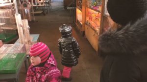 Покупаем карликового кролика на Птичьем рынке