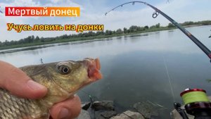 УЧУСЬ ЛОВИТЬ НА ДОНКИ!!! Окуни и сазанчики на мертвом донце!