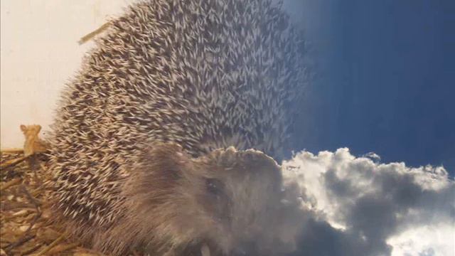 "Светопись для ВСЕХ!- 3" Средняя категория смотреть онлайн