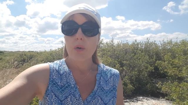 НЕ НОРМАЛЬНО! КУСОЧКИ ЕДЫ в КАКАШКАХ! Что это значит? Советы французского нутрициолога