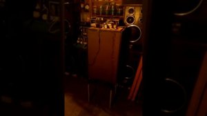 Колонка 25а-78 У4 на динамикае 4а-32