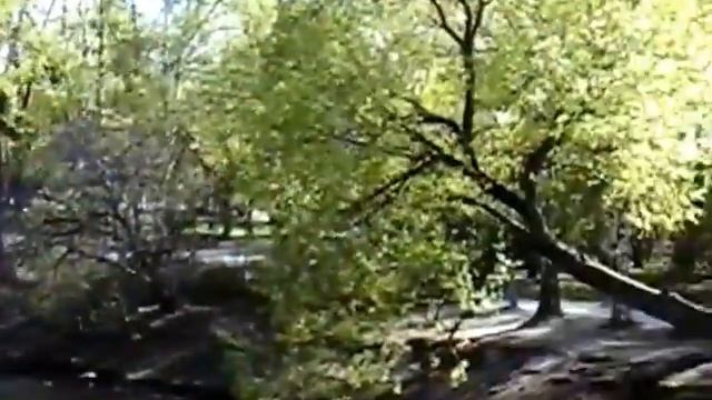 Прогулка по весеннему парку, часть1. смотреть онлайн