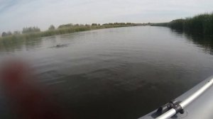 ЖОР МЕЛКОЙ ЩУКИ В СЕНТЯБРЕ / РЫБАЛКА С ЛОДКИ НА СПИННИНГ /