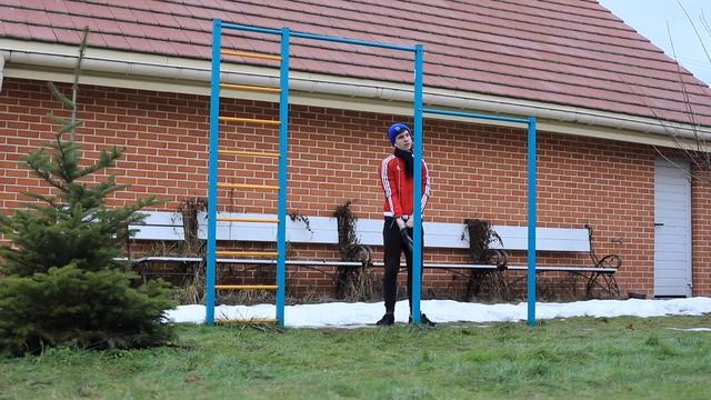 Тренировка ВОРКАУТ (КАЛИСТЕНИКА) для начинающих / calisthenics program