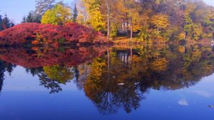 Enchanting Autumn Forests with Beautiful Piano Music?4K Autumn Ambience & Fall Foliage