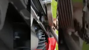 Сборка бензопилы vega vsg 53h (вега)