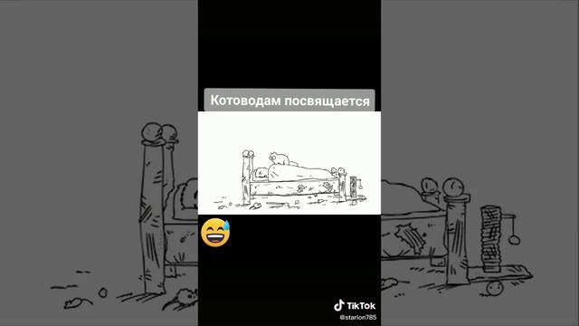 Кот дебил мешает мне спать. смотреть онлайн
