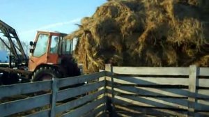 Технология заготовки сена: сегодня и вчера