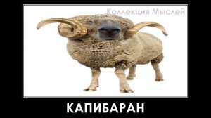 Если КАПИБАРЫ Захватят Мир: