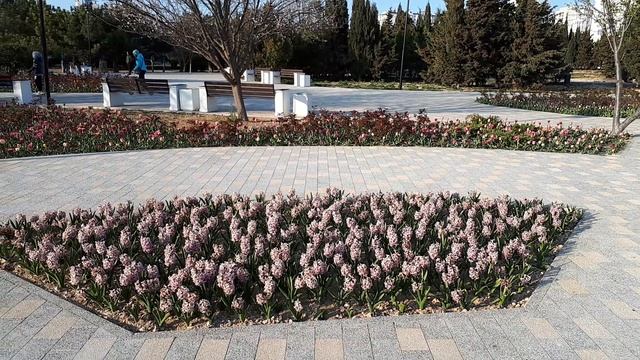 Севастополь в цвету