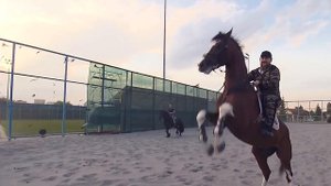 Обращение Кадырова к Зеленскому