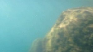 Подводные съемки в Черном море. Голубая бухта, Бжид
